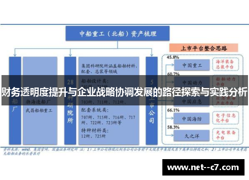 财务透明度提升与企业战略协调发展的路径探索与实践分析