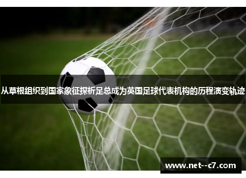 从草根组织到国家象征探析足总成为英国足球代表机构的历程演变轨迹