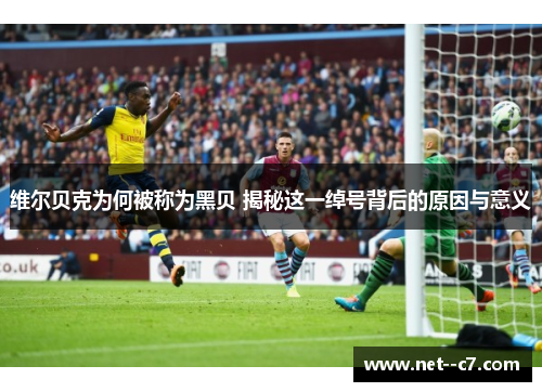 维尔贝克为何被称为黑贝 揭秘这一绰号背后的原因与意义