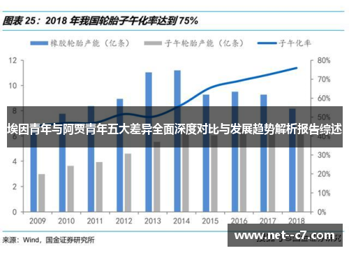 埃因青年与阿贾青年五大差异全面深度对比与发展趋势解析报告综述 埃因青年与阿贾青年五大差异全面深度对比与发展趋势解析报告综述