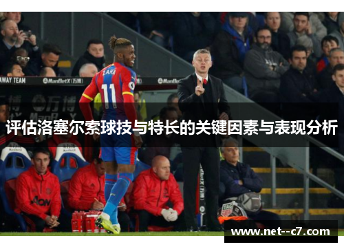 评估洛塞尔索球技与特长的关键因素与表现分析