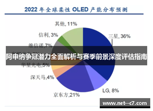 阿申纳争冠潜力全面解析与赛季前景深度评估指南