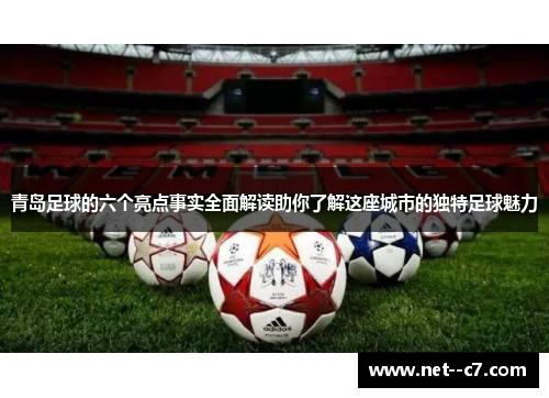 青岛足球的六个亮点事实全面解读助你了解这座城市的独特足球魅力