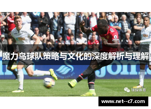 魔力鸟球队策略与文化的深度解析与理解