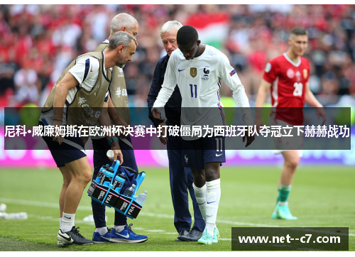 尼科·威廉姆斯在欧洲杯决赛中打破僵局为西班牙队夺冠立下赫赫战功